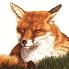 Схема вышивки «лиса»