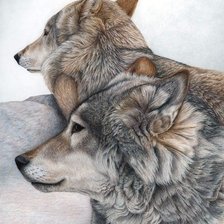 Схема вышивки «волки»