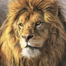 Схема вышивки «лев»