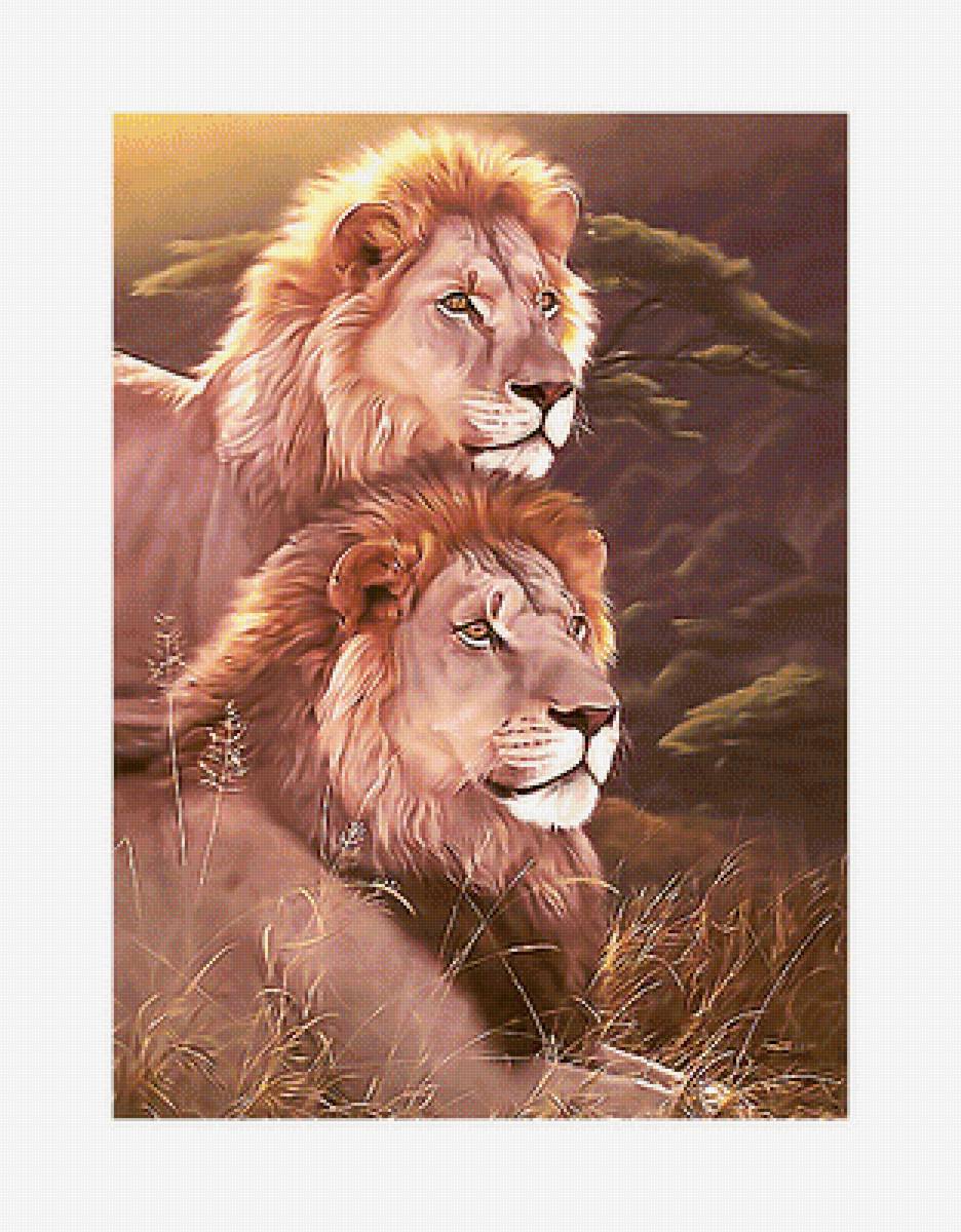 Серия "Хищники". Львы - львы, хищники, животные - предпросмотр