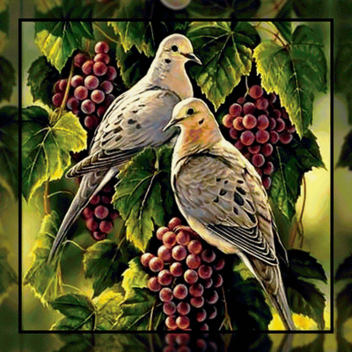 Голуби и виноград. - лоза., голуби, виноград - предпросмотр