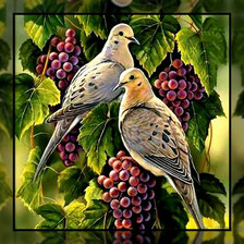 Схема вышивки «Голуби и виноград.»
