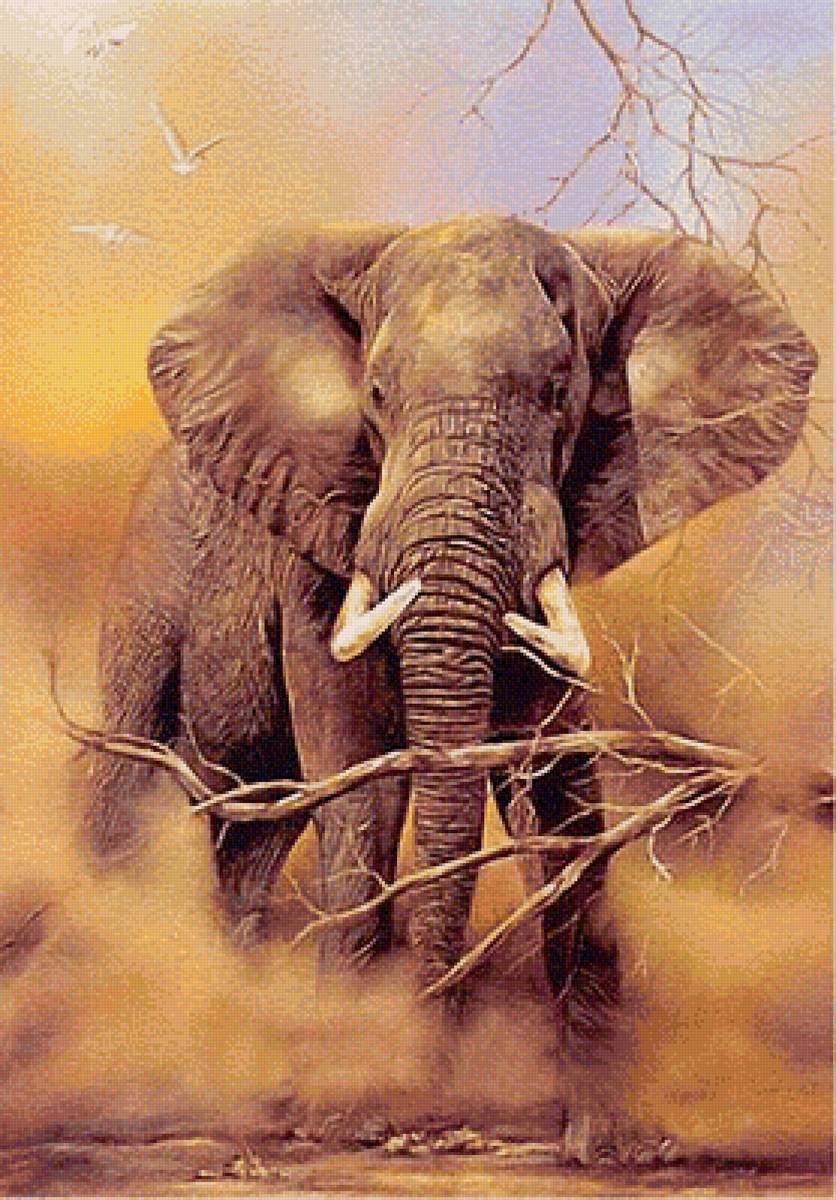 СЛОН - предпросмотр