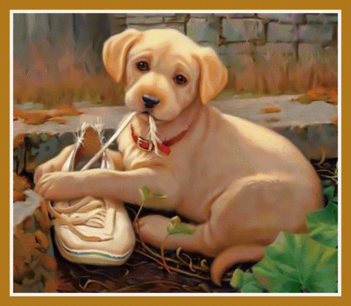 Щенок и ботинок. - щенок, ботинок. - предпросмотр