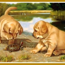 Схема вышивки «Щенки и черепаха.»