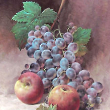 Схема вышивки «Натюрморт.»