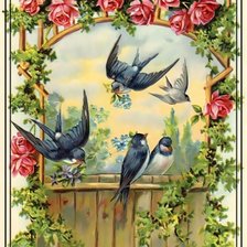 Схема вышивки «Ласточки и розы. Винтаж.»