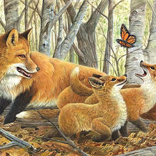 Схема вышивки «Серия "Лисы"»