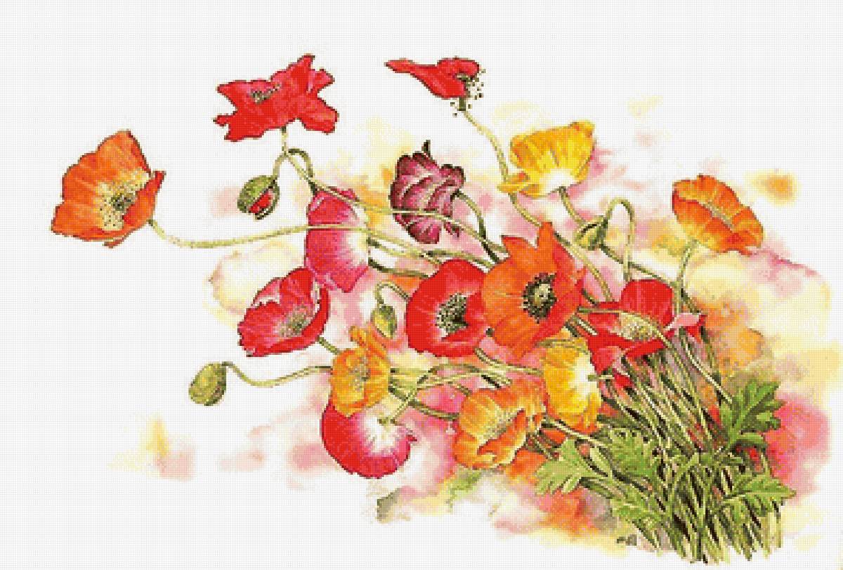 маки-акварель - предпросмотр