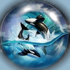 Схема вышивки «Касатки.»