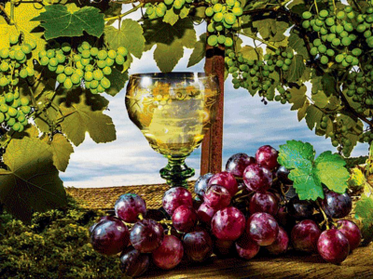 №1936707 - натюрморт, виноград, фрукты - предпросмотр