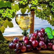 Схема вышивки «№1936707»