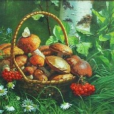 Схема вышивки «Дары леса /худ. В.М. Тормосов/»