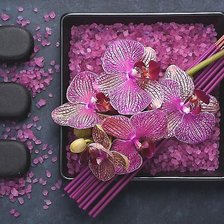 Схема вышивки «№1936915»