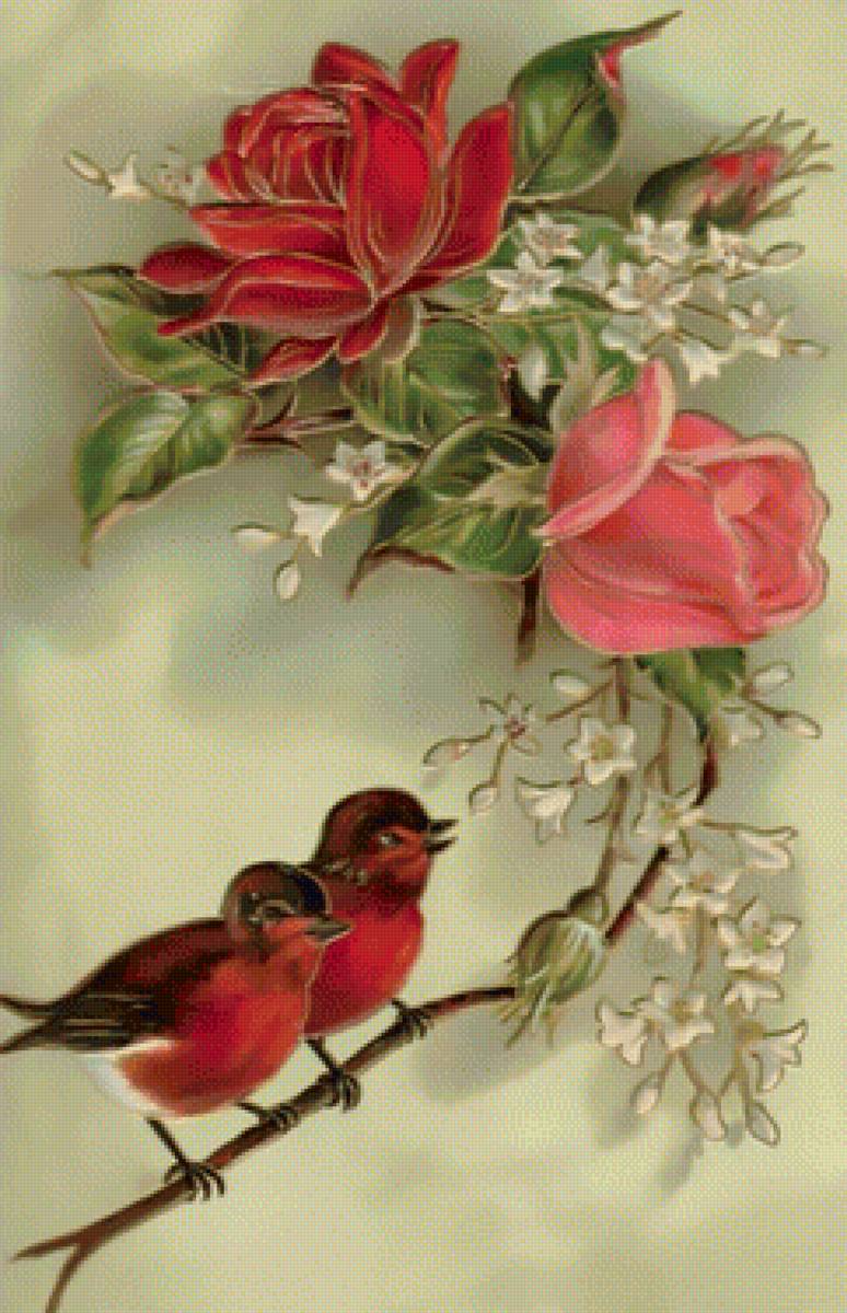Птички на розе. - розы, винтаж., птички - предпросмотр