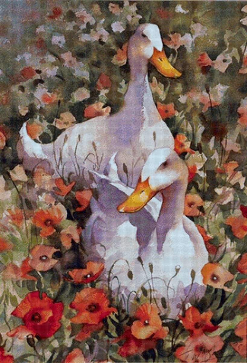 гуси - утки, гуси - предпросмотр