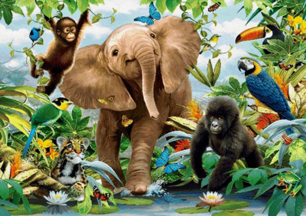 Мир животных - предпросмотр