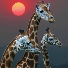 Схема вышивки «животные»