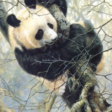 Схема вышивки «дикие»