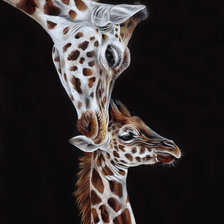 Схема вышивки «№1937043»