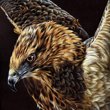 Схема вышивки «№1937061»