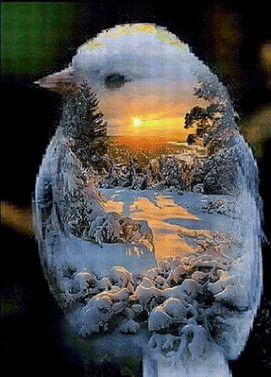 СЮЖЕТ - предпросмотр