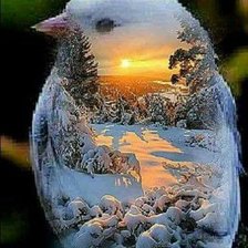 Схема вышивки «СЮЖЕТ»