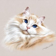 Схема вышивки «Sapphire Eyes.»