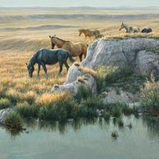 Схема вышивки «Mustang Country.»