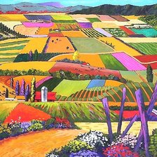 ПЁСТРЫЕ ПОЛЯ