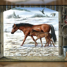 Лошадь и жеребёнок.