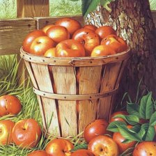 Схема вышивки «№1937235»