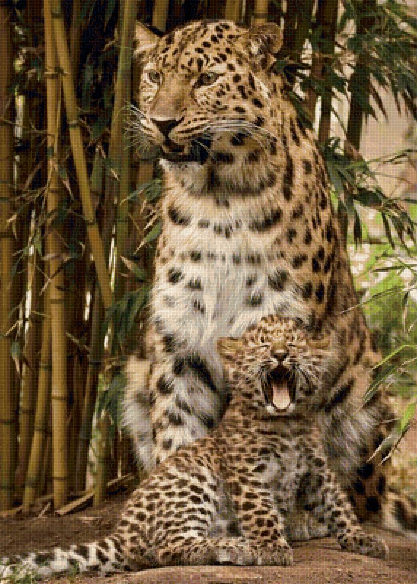 дикие - предпросмотр