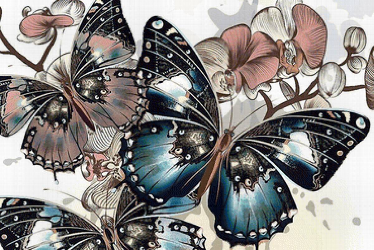 бабочки - предпросмотр