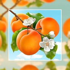 Схема вышивки «Абрикосы.»