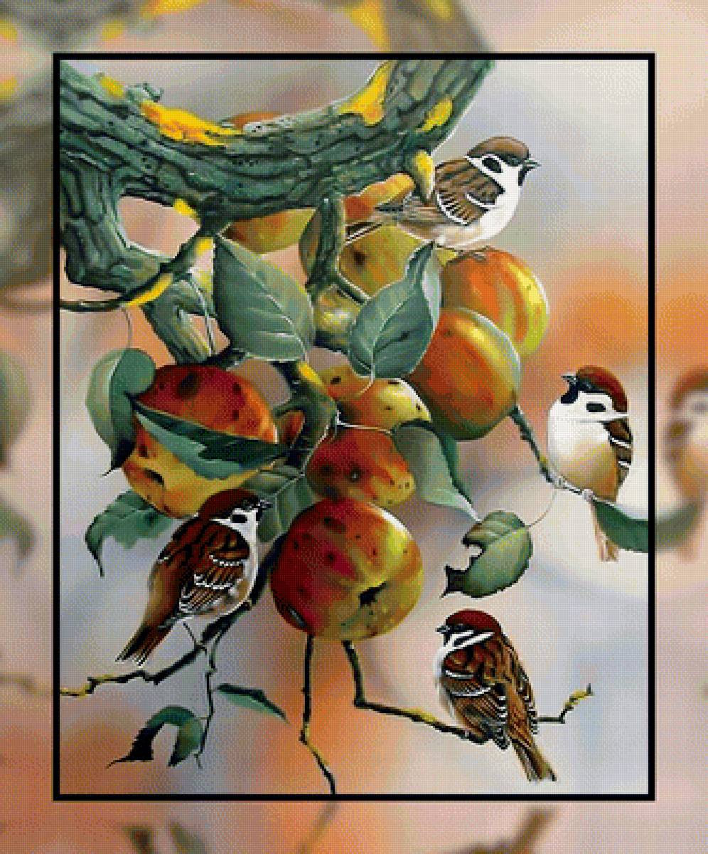 Воробьи на яблоне. - воробьи., яблоня, яблоки, ветки, птицы - предпросмотр