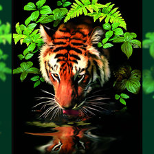 Схема вышивки «Тигр.»