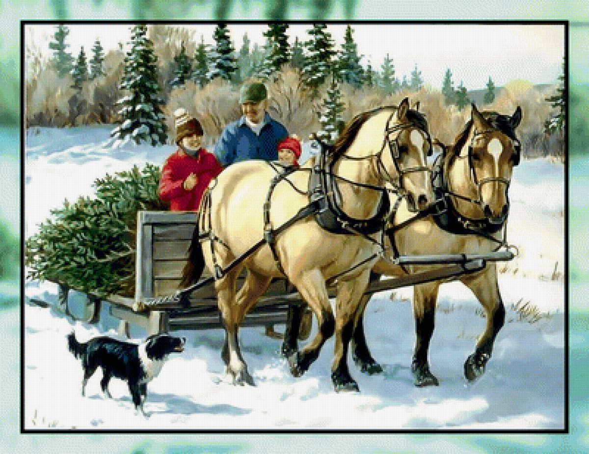 Из леса с ёлочкой. - кони, снег, сани, собака., зима - предпросмотр
