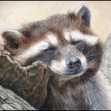 Схема вышивки «енот»