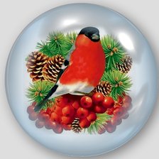 Схема вышивки «Снегирь.»