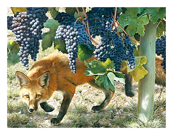 Серия "Лисы" - лисы, животные - оригинал