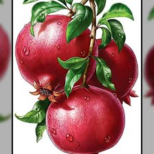 Схема вышивки «Гранат.»