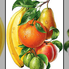 Схема вышивки «Ассорти.»