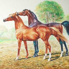 Схема вышивки «Кони»