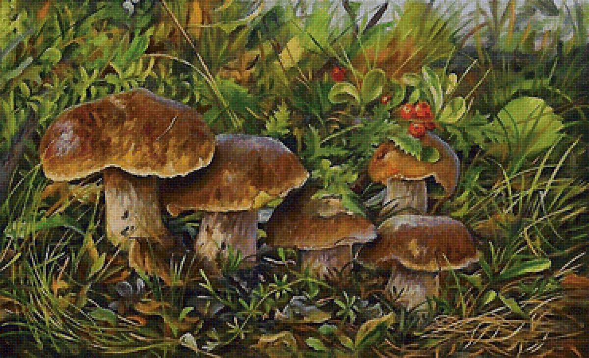 ГРИБЫ - предпросмотр