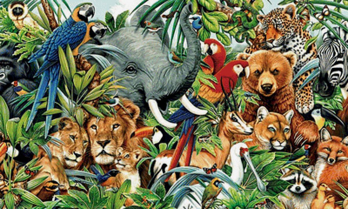 Животные - звери - предпросмотр