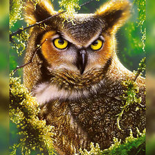 Схема вышивки «№1937849»