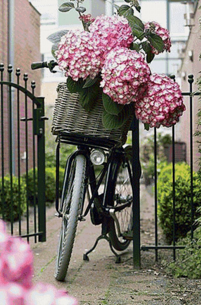 СЮЖЕТ - предпросмотр