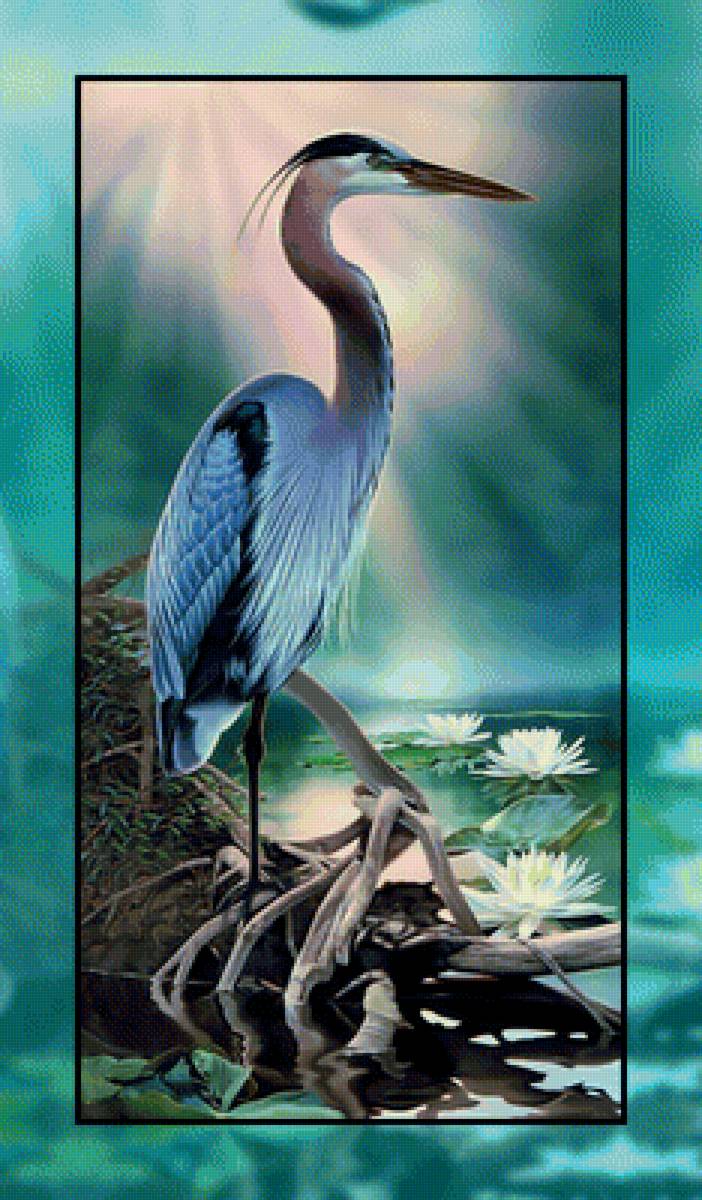 Цапля. - цапля, пруд, лилии. - предпросмотр