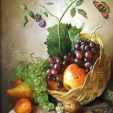 Схема вышивки «ФРУКТЫ И ЯГОДЫ»